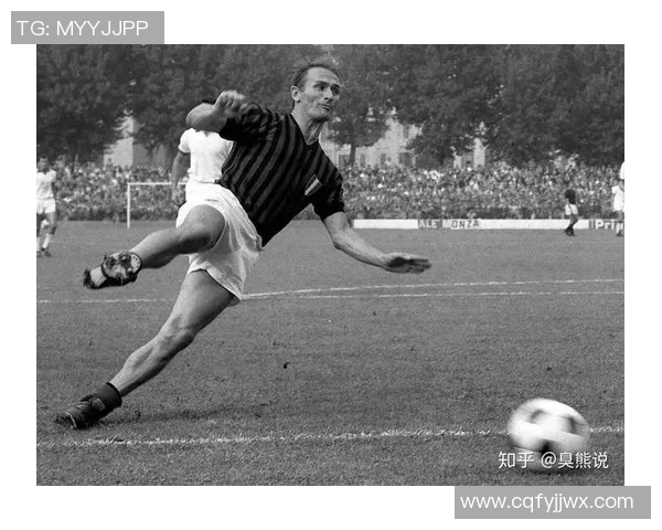 足球明星们选择的定居地揭秘与生活方式探讨